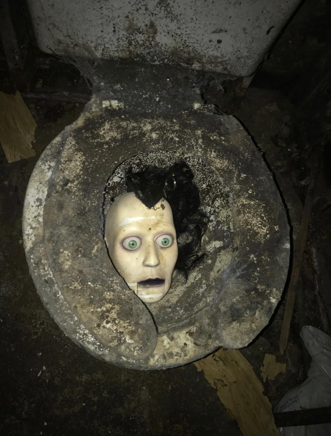 “I’m a contractor. Bought an abandoned/foreclosed home to renovate. This was in the basement bathroom. What. The. Fuck.”